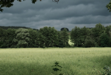 Přírodní rezervace Milská stráň na Rakovnicku se rozšíří Přírodní rezervace Milská stráň na Rakovnicku se rozšíří